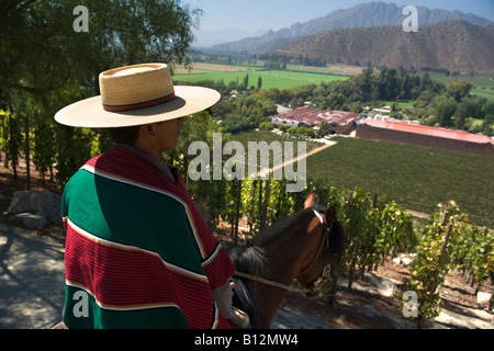 HUASO INDOSSANDO CHUPALLA HAT DON MAXIMIANO STATION WAGON VINA ERRAZURIZ Cantina Valle di Aconcagua CILE Foto Stock