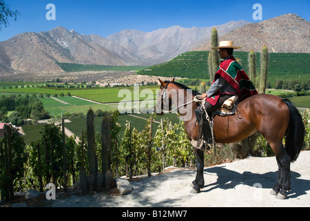 HUASO INDOSSANDO CHUPALLA HAT DON MAXIMIANO STATION WAGON VINA ERRAZURIZ Cantina Valle di Aconcagua CILE Foto Stock