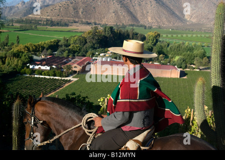 HUASO INDOSSANDO CHUPALLA HAT DON MAXIMIANO STATION WAGON VINA ERRAZURIZ Cantina Valle di Aconcagua CILE Foto Stock