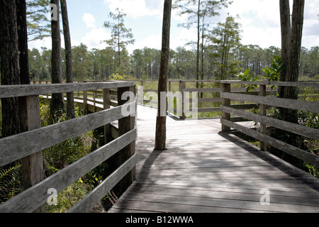 Il Boardwalk cavatappi Santuario vicino a Napoli, Florida, America del Nord Foto Stock