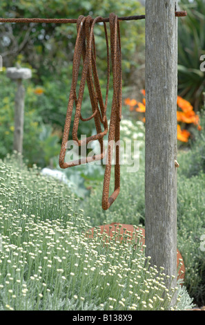 Derek Jarman's garden in giugno, Dungeness, Kent, Inghilterra Foto Stock