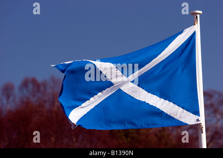 Una bandiera scozzese sta soffiando nel vento. Foto Stock