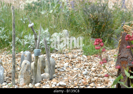 Derek Jarman's garden in giugno, Dungeness, Kent, Inghilterra Foto Stock