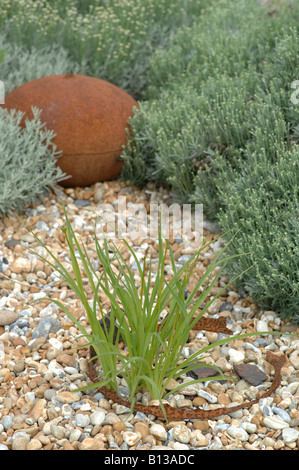 Derek Jarman's garden in giugno, Dungeness, Kent, Inghilterra Foto Stock