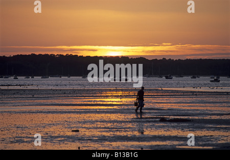 Lugworm digger al tramonto nel porto di Poole Foto Stock