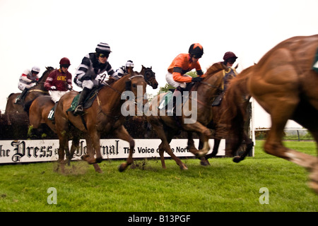 Azione Live al Gold Cup siepi a Scone Palace Park Racecourse Perth, Regno Unito Foto Stock