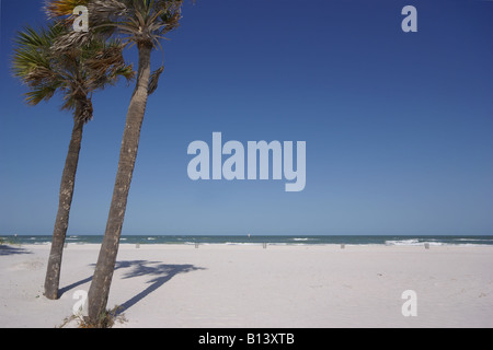 Scena di spiaggia con palme presso Clearwater Beach, Florida, Maggio 2008 Foto Stock
