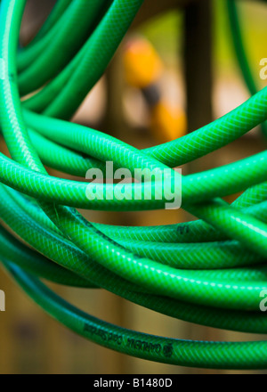 Le bobine di un tubo flessibile verde appeso ad un gancio in un giardino Foto Stock