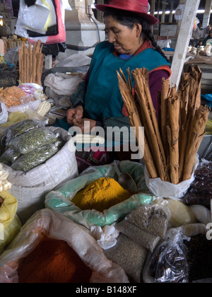 Donna vendita di spezie nel mercato di Cusco, Perù Foto Stock