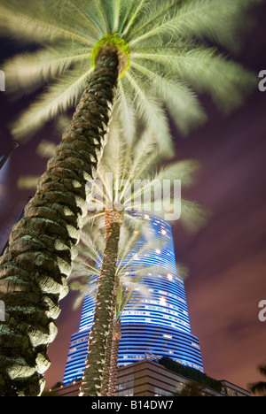 Palme grattacielo telaio decorato con la stagione di Natale stelle, Miami, Florida Foto Stock