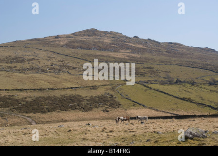 Brown Willy su Bodmin Moor da Ruvida Tor Foto Stock