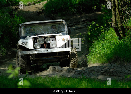 Land Rover basato off-road racer che si fanno concorrenza a livello nazionale ALRC 2008 RTV di prova. Foto Stock