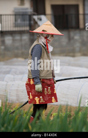 Kyoto in Giappone un agricoltore irriga i Suoi raccolti su un piccolo riparto suburbane, indossando un tradizionale cappello di paglia, maschera di cotone e guanti Foto Stock