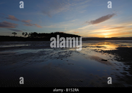 Tramonto sul tidal flats di Loch flotta con boschi lontani e basse colline vicino a Golspie Sutherland n e Scozia UK Foto Stock