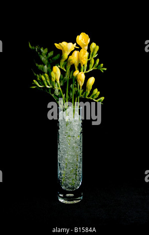 Freesias giallo visualizzato nel vaso di vetro trasparente di cristalli di gel Foto Stock