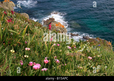 La lucertola, la Gran Bretagna è più a sud point, Cornwall Foto Stock