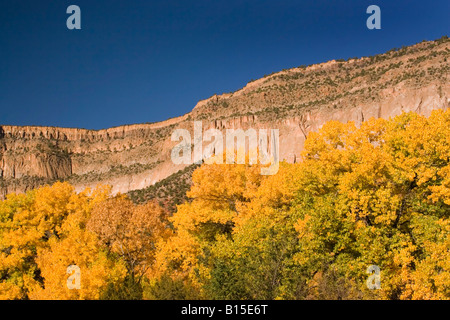 Valle di Jemez in caduta, Nuovo Messico Foto Stock