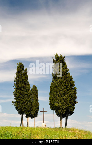 Gruppo di cipressi e una croce in Val d'Orcia, Toscana, Italia Foto Stock