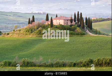 Belvedere all'alba, Valle de Orcia, Toscana, Italia Foto Stock