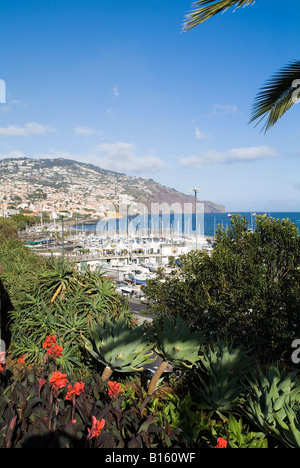 porto di funchal funchal MADEIRA Vista del porto di Funchal dal Parque de Santa Catarina giardini springflowers punto di osservazione Foto Stock