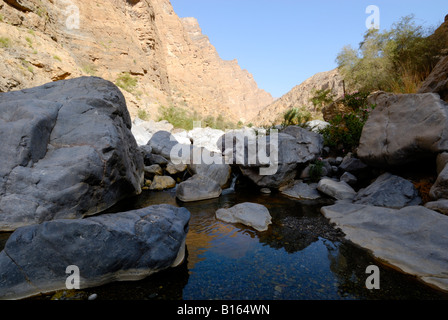 Cercando il Wadi al Muaydin in il Jabal al Akhdar massiccio di montagne Hajar del Sultanato di Oman Foto Stock