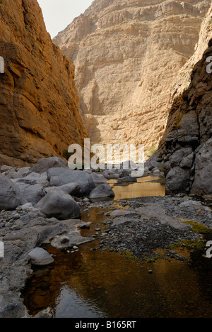 Cercando il Wadi al Muaydin in il Jabal al Akhdar massiccio di montagne Hajar del Sultanato di Oman Foto Stock