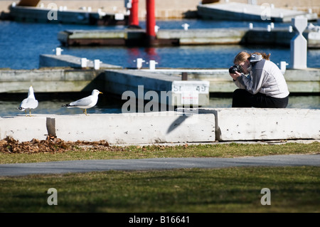 Un giovane femmina photograper la composizione di una foto di gabbiani nelle vicinanze Foto Stock