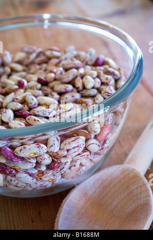 Secchi borlotti fagioli di mirtillo palustre nel contenitore in vetro Foto Stock