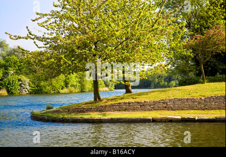 Il lago in una giornata di sole in estate in acqua Coate Country Park, un locale riserva naturale vicino a Swindon, Wiltshire, Inghilterra, Regno Unito Foto Stock