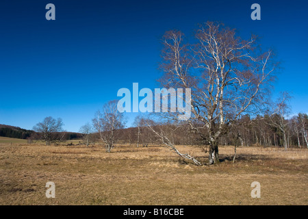 Il paesaggio in Germania Foto Stock