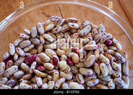 Secchi borlotti fagioli di mirtillo palustre nel contenitore in vetro Foto Stock