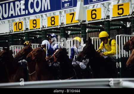 Cavalli emergenti dalle bancarelle all'inizio di una gara a Chester Racecourse Foto Stock