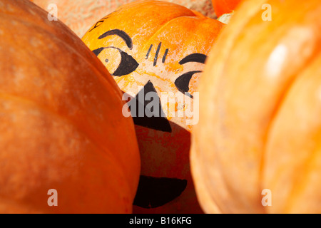 Halloween volto segnato su arancione zucca fuori di peering tra due zucche Foto Stock