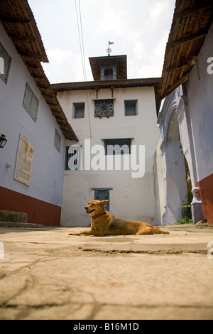 Un cane giace sul davanti alla Sinagoga Pardesi in giudeo, città di Kochi. Foto Stock
