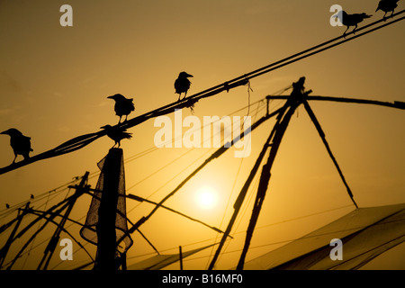 Tramonto dai cinesi reti da pesca di Kochi (Cochin) in Kerala, India. Foto Stock