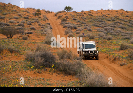 4WD attraversando le dune di sabbia del deserto Simpson South Australia Australia Foto Stock