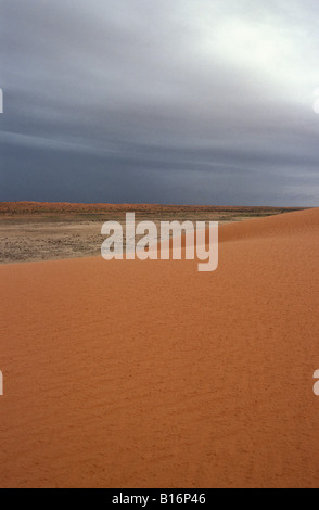 Dune di sabbia del deserto Simpson Queensland Australia Foto Stock