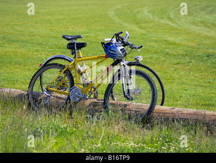 Due biciclette parcheggiate e bloccati insieme in un parco nei pressi del vecchio Mulino del distretto di curvatura Oregon Foto Stock