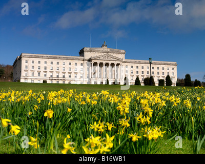 Stormont europeo Belfast Irlanda del Nord Foto Stock
