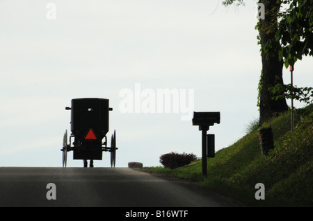 Amish buggy sulla strada di campagna Foto Stock