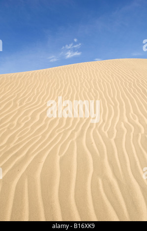 Le dune di sabbia in Natale Lake Valley southeast Oregon Foto Stock