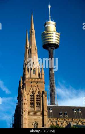 Australia Sydney St Mary s Cathedral Torre di Sydney Foto Stock