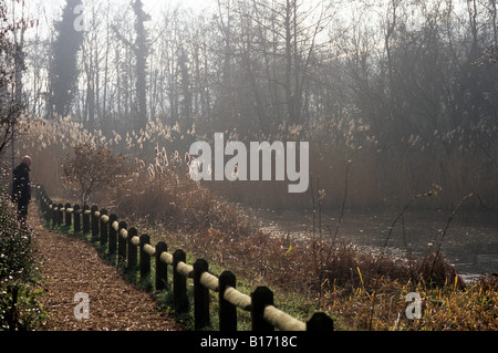 Inverno a Camley Street parco naturale, Kings Cross Londra Foto Stock