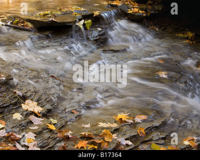 In autunno, Spring Creek cascades sotto gallina blu cade nel Cuyahoga Valley National Park vicino a Cleveland, Ohio. Foto Stock