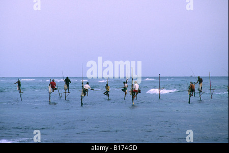 Stilt pescatori. Weligama, Sri Lanka. Foto Stock