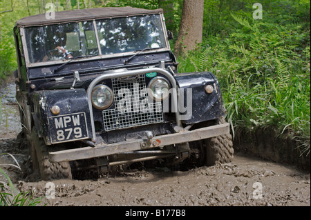 Land Rover Serie 1 basato su off-road trialer si fanno concorrenza a livello nazionale ALRC 2008 RTV di prova è la guida attraverso la foresta allagata road. Foto Stock