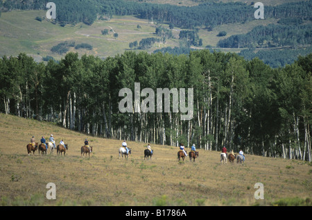 Il gruppo di cavalieri su un sentiero guidato ride nelle montagne di San Juan a Colorado USA Foto Stock