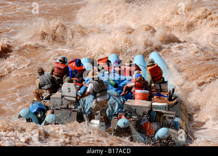 Raft andando attraverso la lava rapida un gigante veloce sul Fiume Colorado nel Grand Canyon Arizona USA MR Foto Stock