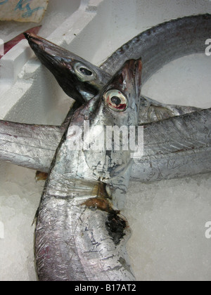 Di pesce sciabola pesce bandiera - Napoli Campania Italia Meridionale Foto Stock