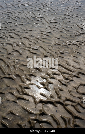 Increspata sabbia e mare spiaggia astratta. Findhorn beach, Morray, Scozia Foto Stock